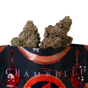 Champelli | Ropeium