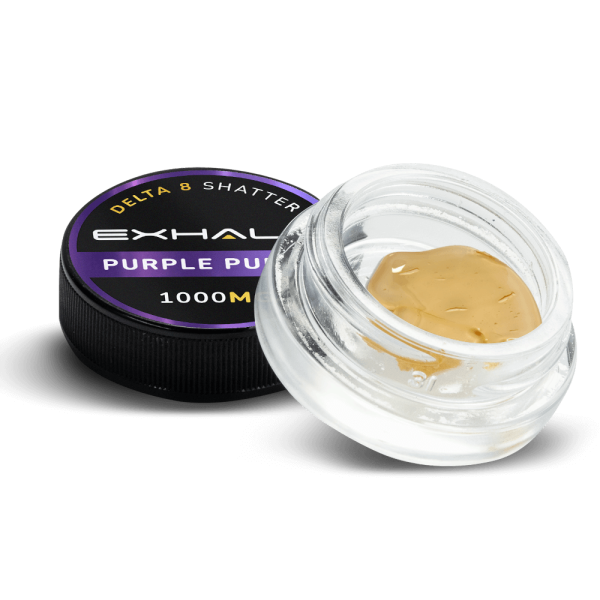 SHATTER – PURPLE PUNCH